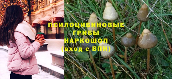 твердый Балахна
