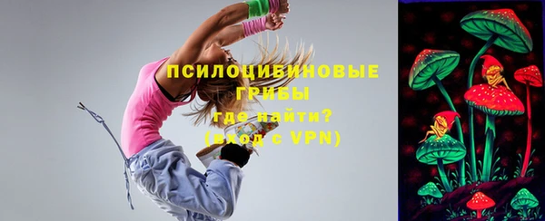 твердый Балахна