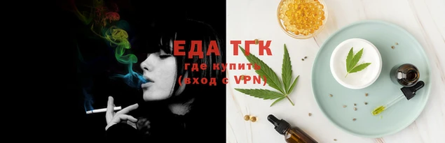 ешки Новодвинск