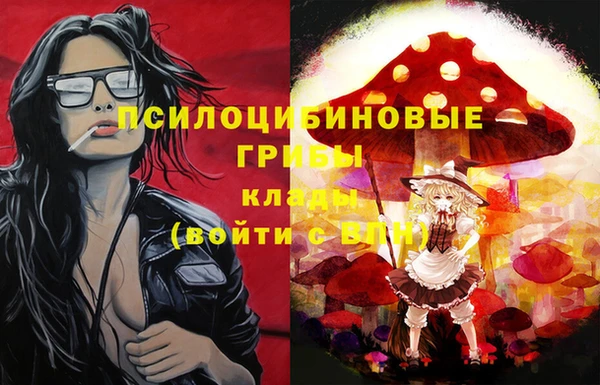 твердый Балахна